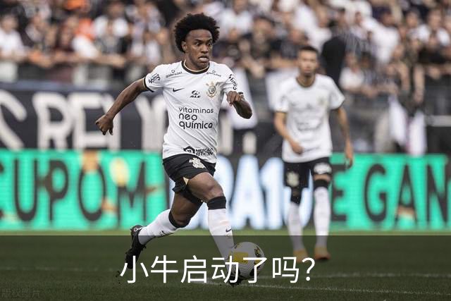 小牛启动了吗？
